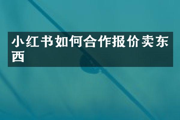 小红书如何合作报价卖东西