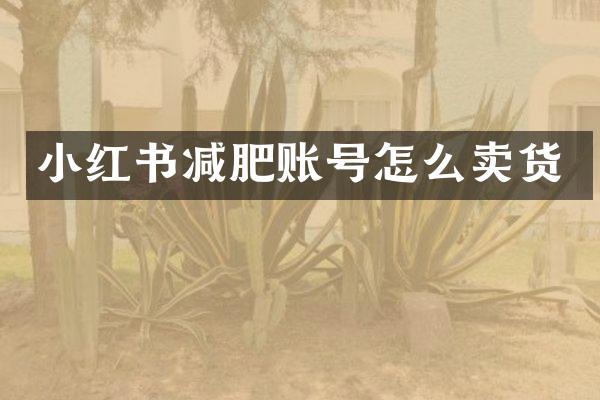 小红书减肥账号怎么卖货