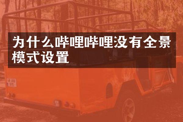 为什么哔哩哔哩没有全景模式设置