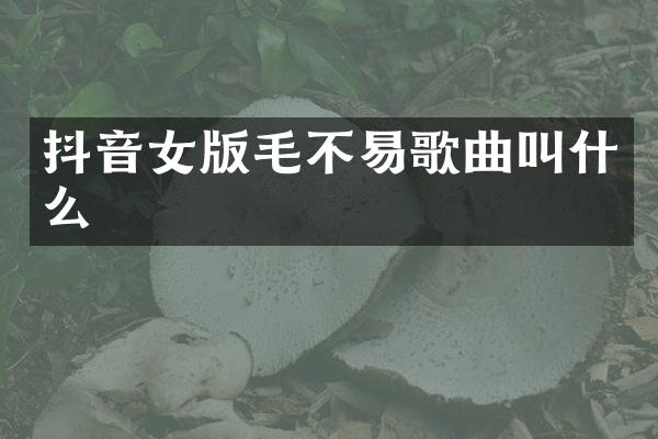 抖音女版毛不易歌曲叫什么