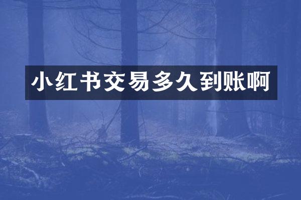 小红书交易多久到账啊
