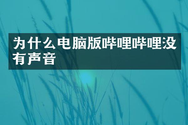 为什么电脑版哔哩哔哩没有声音