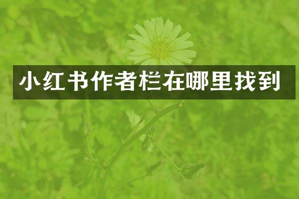 小红书作者栏在哪里找到
