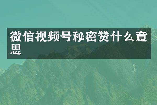 微信视频号秘密赞什么意思