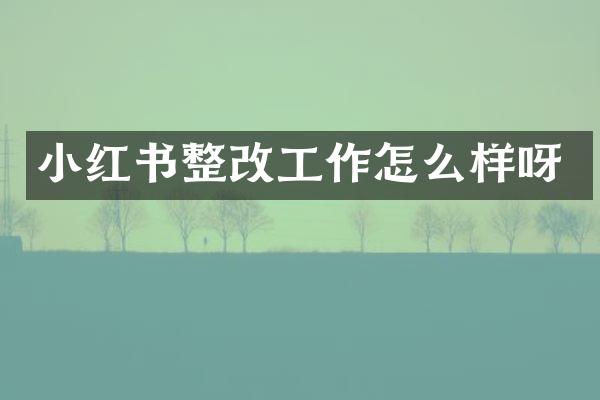 小红书整改工作怎么样呀