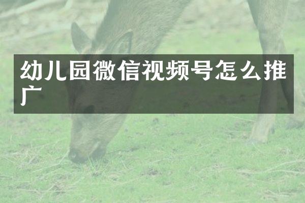 幼儿园微信视频号怎么推广