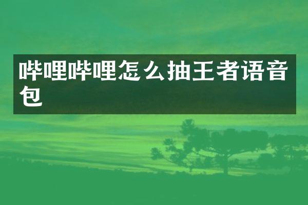 哔哩哔哩怎么抽王者语音包