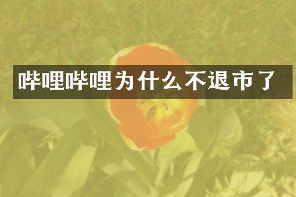 哔哩哔哩为什么不退市了