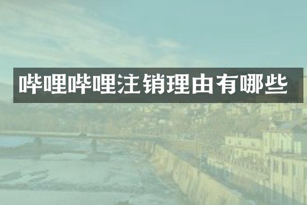 哔哩哔哩注销理由有哪些