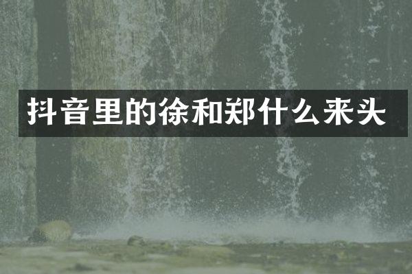 抖音里的徐和郑什么来头