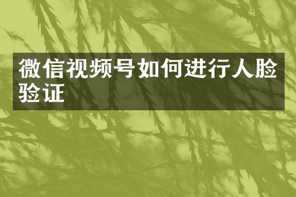 微信视频号如何进行人脸验证