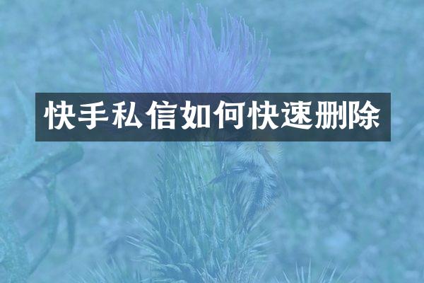 快手私信如何快速删除