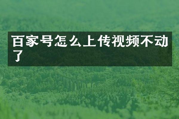 百家号怎么上传视频不动了