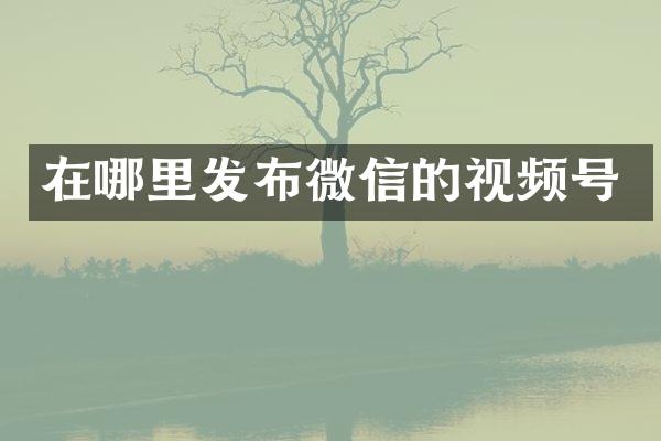 在哪里发布微信的视频号
