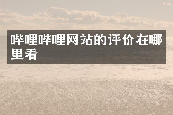 哔哩哔哩网站的评价在哪里看