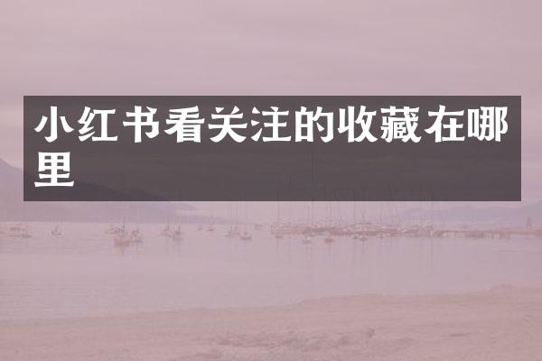 小红书看关注的收藏在哪里
