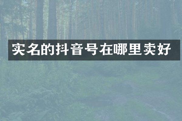 实名的抖音号在哪里卖好