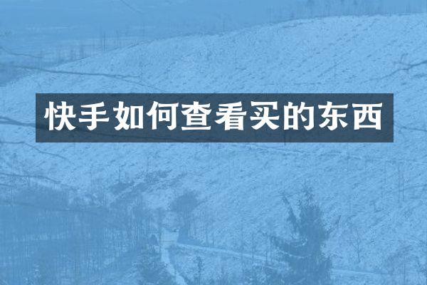 快手如何查看买的东西