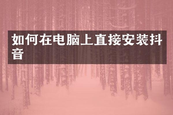 如何在电脑上直接安装抖音