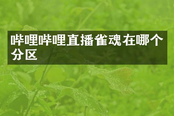 哔哩哔哩直播雀魂在哪个分区