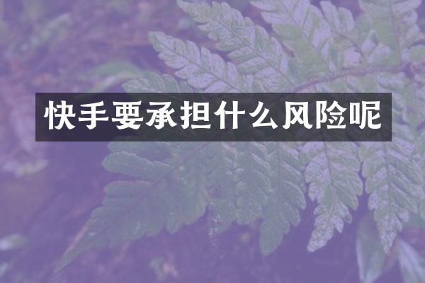 快手要承担什么风险呢
