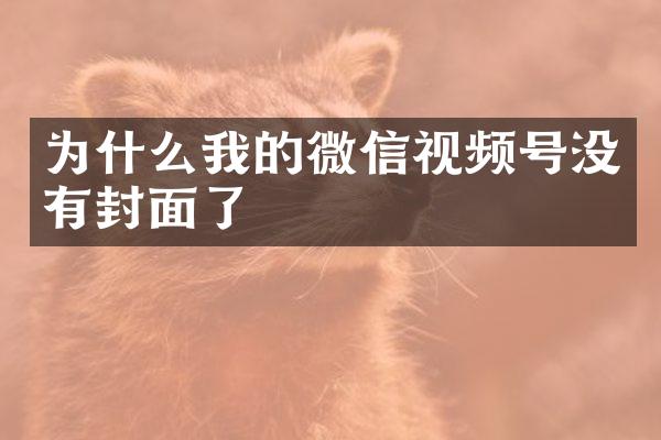 为什么我的微信视频号没有封面了