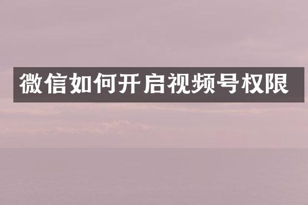 微信如何开启视频号权限
