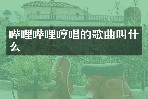 哔哩哔哩哼唱的歌曲叫什么