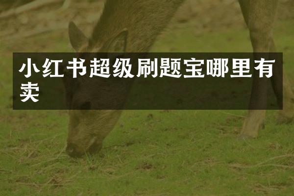 小红书超级刷题宝哪里有卖