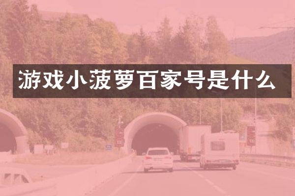 游戏小菠萝百家号是什么