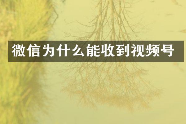 微信为什么能收到视频号
