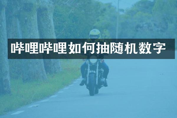 哔哩哔哩如何抽随机数字
