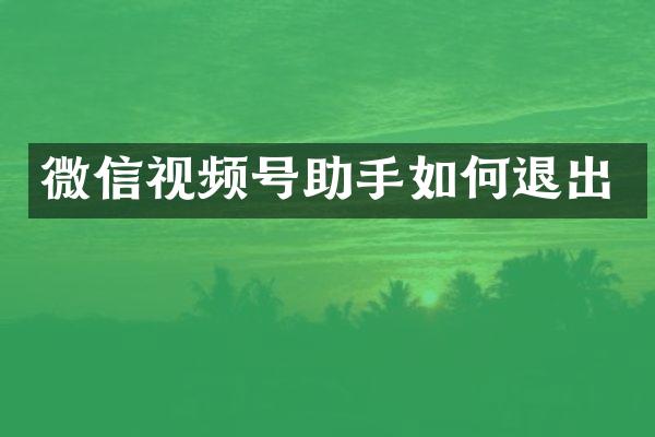 微信视频号助手如何退出