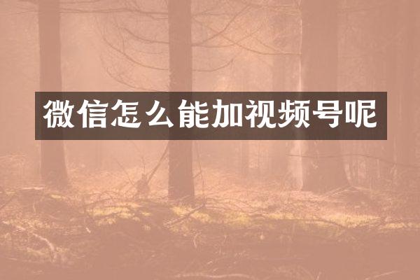 微信怎么能加视频号呢