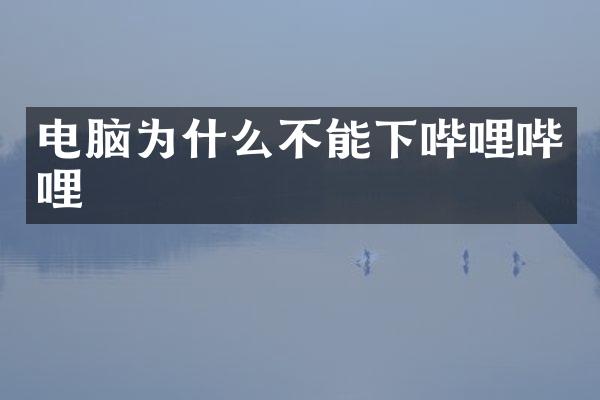 电脑为什么不能下哔哩哔哩