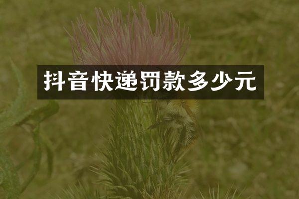 抖音快递罚款多少元