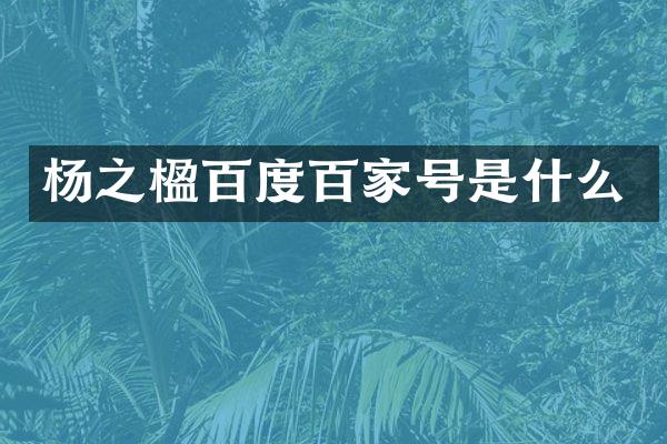 杨之楹百度百家号是什么