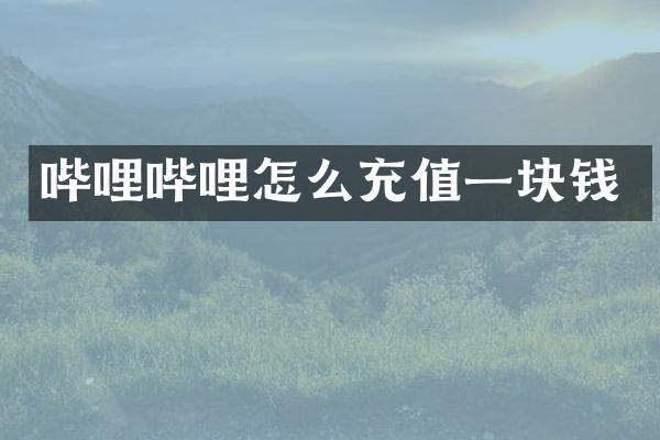 哔哩哔哩怎么充值一块钱