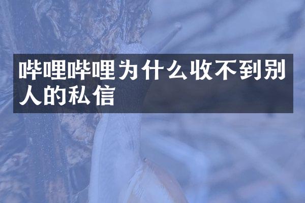 哔哩哔哩为什么收不到别人的私信