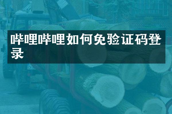 哔哩哔哩如何免验证码登录