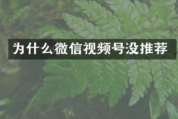 为什么微信视频号没推荐