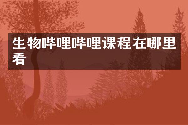 生物哔哩哔哩课程在哪里看