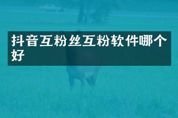 抖音互粉丝互粉软件哪个好