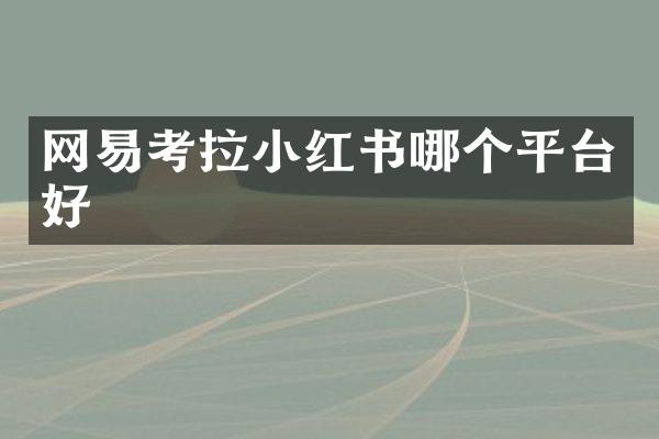 网易考拉小红书哪个平台好