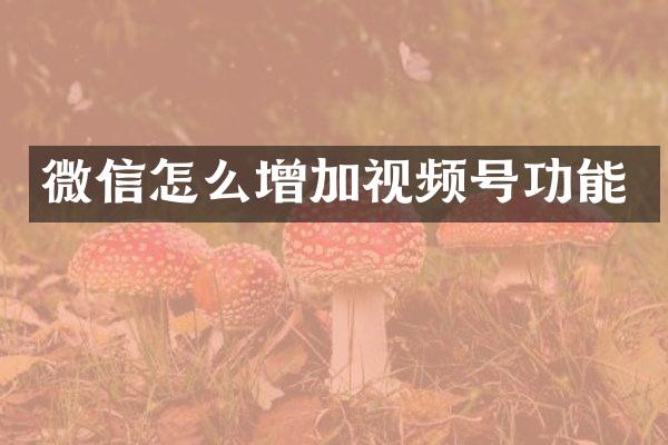 微信怎么增加视频号功能
