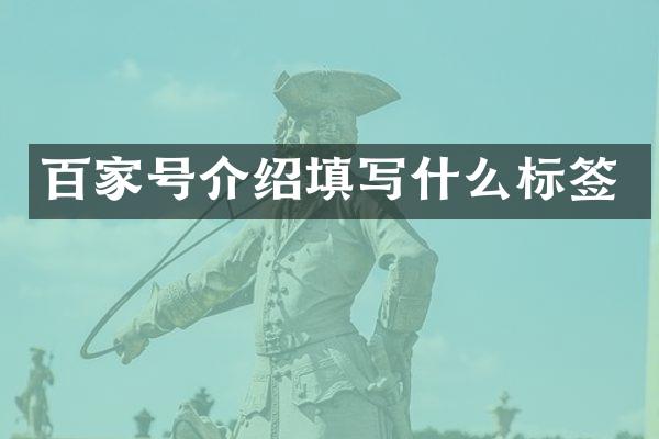 百家号介绍填写什么标签
