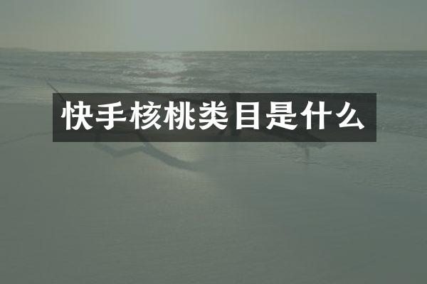 快手核桃类目是什么