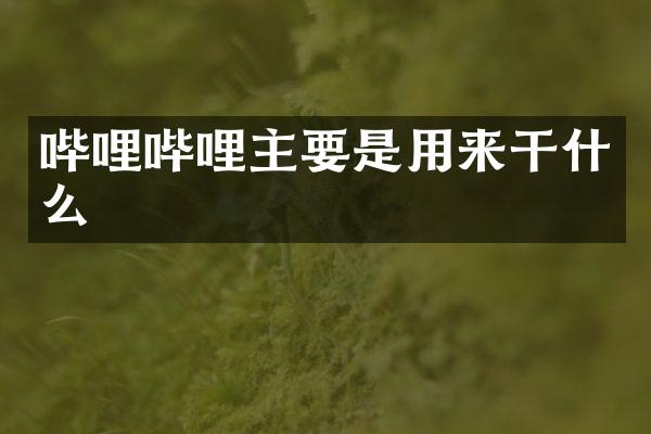 哔哩哔哩主要是用来干什么