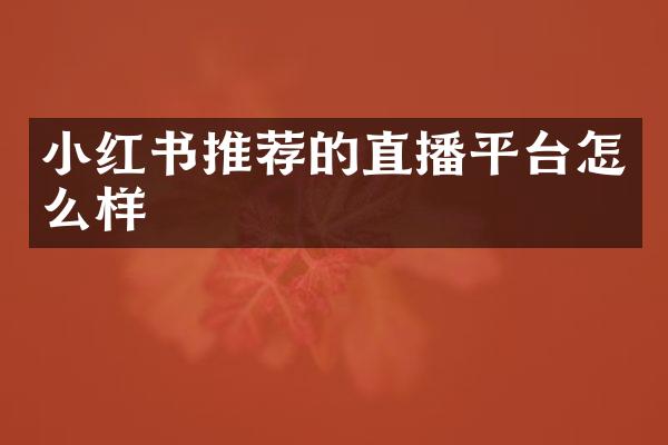 小红书推荐的直播平台怎么样