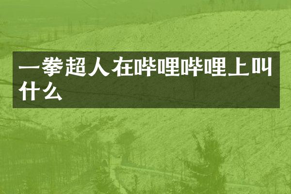 一拳超人在哔哩哔哩上叫什么